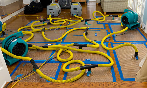 Professional Water Extraction technician working in Independence, IA